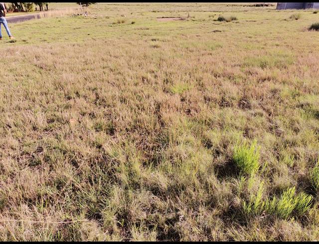 1,000M² VACANT LAND FOR SALE IN STRUISBULT